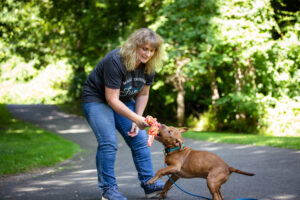 Adorable puppy joyfully playing tug with the KONG Rope Bunji, proving that playing tug doesn't make your puppy aggressive! Discover the truth behind the myth: Will playing tug make my puppy aggressive?