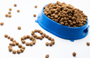 Discover the difference between adult dog food and puppy dog food.
Learn how breed factors in when deciding how and when to switch your puppy to adult food.