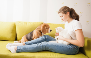 A well-behaved puppy sitting on the couch beside its owner, while a friendly cat joins the scene. Are some puppies smarter than others?