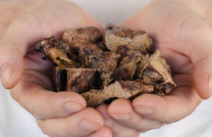 ackpot of dog treats for training - Why is my stubborn puppy not listening? - 3 tips for effective puppy training