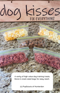 High-value treats for dog training - How to teach your puppy to listen and find out why you don't need to discipline a disobedient puppy