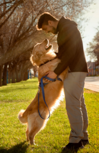 A man is holding a misbehaving, jumping, adolescent puppy.