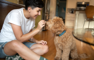 A woman engaging in obedience training with her dog on the floor. Keeping puppy training fun because puppies don't know obedience training is important and tricks are just for fun.