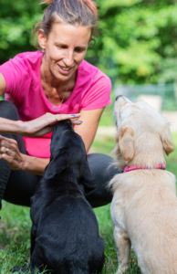 A woman engaging in obedience training with puppies. Puppies don't know the difference between obedience training vs. trick training.